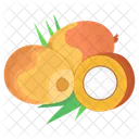 Palm Fruit  Icon