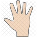 Palm Hand Lineal Color Icon Icon