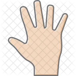 Palm hand  Icon