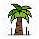 Palm  Icon