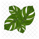 Palm leaf  Icon