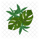 Palm Tree Icon