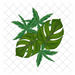 Palm leaf  Icon