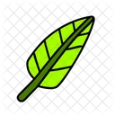 Palm Leaf Summer Vacation Icon