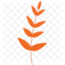Palm Leaf Leaf Tropical Icon