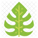 Palm Leaf  Icon