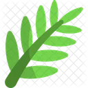 Palm Leaf Coconut Tree Leaf Tropical Icon