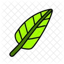 Palm Leaf Summer Vacation Icon