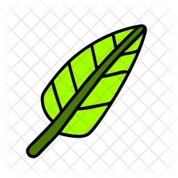 Palm leaf  Icon