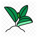 Palm Leaf Summer Vacation Icon