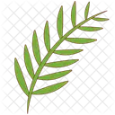 Palm Leaf Tropical Environment Icon