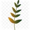 Palm Leaf Leaf Tropical Icon