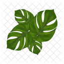 Palm Tree Icon