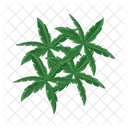 Palm Tree Icon