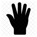 Palm Open  Icon