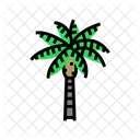 Palm Queen Queen Palm Icon