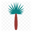 Palm Icon