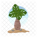 Palm Tree Icon