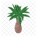 Palm Tree Icon