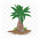 Palm Tree Icon