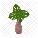Palm Tree Icon