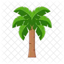 Palm tree  Icon