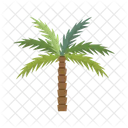 Palm Summer Leaf Icon