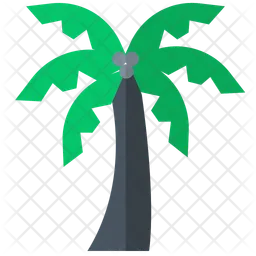 Palm Tree  Icon