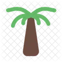 Palm Tree Tropical Palm Icon