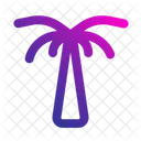 Palm Tree Tropical Palm Icon