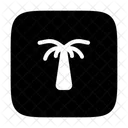 Palm Tree Tropical Palm Icon