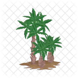 Palm tree  Icon