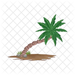 Palm tree  Icon