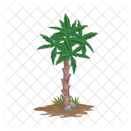 Palm tree  Icon