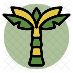 Palm tree  Icon