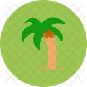 Palm Tree Palm Tree Icon