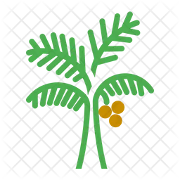 Palm Tree  Icon