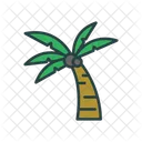 Palm Tree Beach Tree Tree Icon