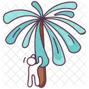 Palm Tree Coconut Tree Date Tree Icon