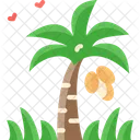 Palm Tree Tree Coconut Icon