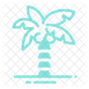 Palm Coconut Tree Icon