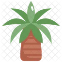 Palm Tree Nature Icon