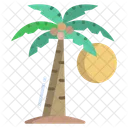 Palm Tree Icon