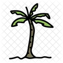 Palm Tree  Icon