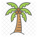 Palm Tree Palm Tree Icon