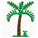 Palm Tree Palm Tree Icon