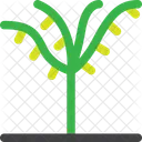 Palm Ecology Garden Icon