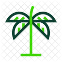 Palm Nature Tree Icon