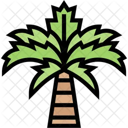 Palm Tree  Icon