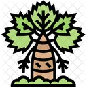 Palm Tree Tropical Tree Palm Icon